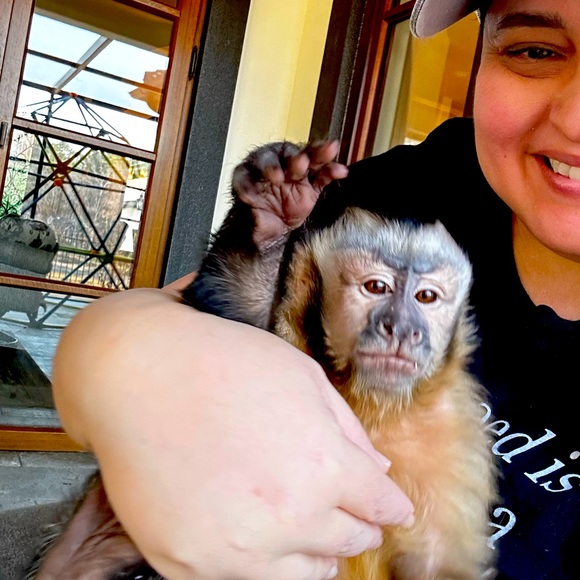 Meet your Posher, Brenda and her partner in crime Emma Rose 🐵 - Picture 8 of 14